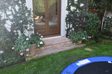 Enlarge photo 436