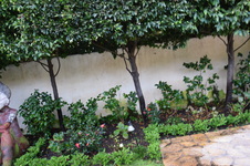 Enlarge photo 440