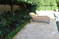 Enlarge photo 443