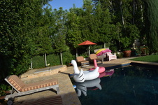 Enlarge photo 445