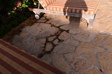 Enlarge photo 451