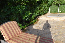 Enlarge photo 453