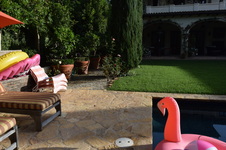 Enlarge photo 459