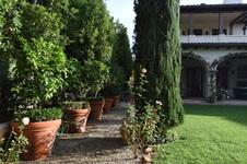 Enlarge photo 460