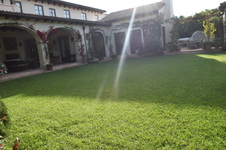 Enlarge photo 461