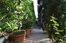 Enlarge photo 462