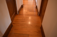 Enlarge photo 509