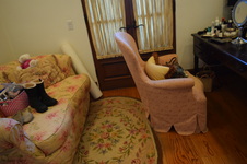 Enlarge photo 519