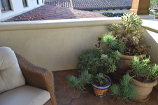 Enlarge photo 561