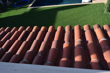 Enlarge photo 569