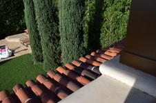 Enlarge photo 570