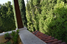 Enlarge photo 573