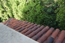 Enlarge photo 574
