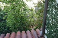 Enlarge photo 576