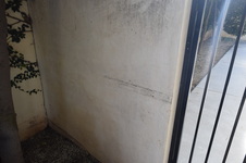 Enlarge photo 642