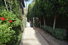 Enlarge photo 645