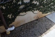 Enlarge photo 648
