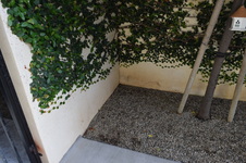 Enlarge photo 650