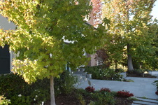 Enlarge photo 6