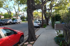 Enlarge photo 13