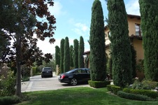 Enlarge photo 10