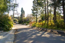 Enlarge photo 92