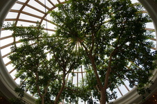 Enlarge photo 30