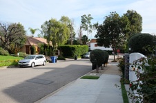 Enlarge photo 12