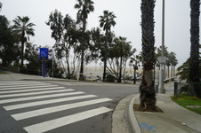 Enlarge photo 51