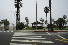 Enlarge photo 44