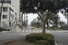 Enlarge photo 40