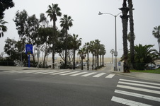 Enlarge photo 39