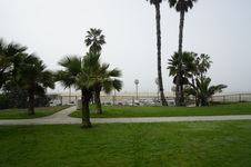 Ocean Ave. Drive By