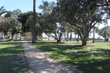 Enlarge photo 34