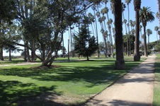 Enlarge photo 35