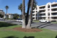 Enlarge photo 37