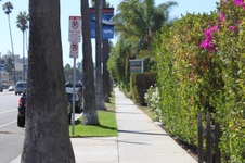 Enlarge photo 19