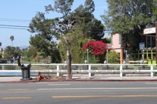 Enlarge photo 49