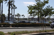 Enlarge photo 27