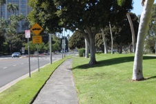 Enlarge photo 29