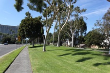 Enlarge photo 30