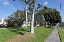 Enlarge photo 35