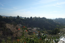 Enlarge photo 46