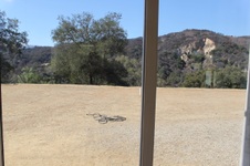 Enlarge photo 32
