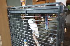 Enlarge photo 22