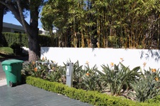 Enlarge photo 8
