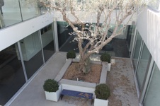 Enlarge photo 19