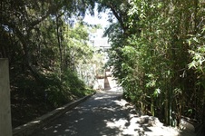 Enlarge photo 3