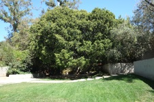 Enlarge photo 82