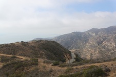 Enlarge photo 124
